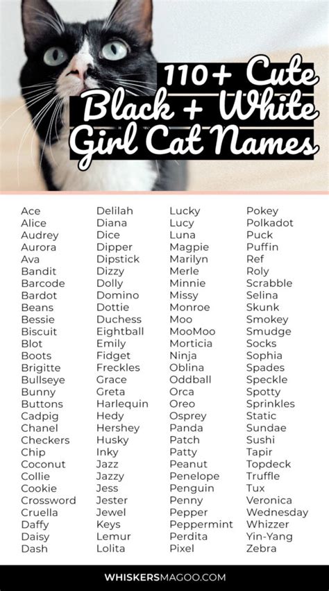 Cute Black And White Cat Names For Girl Cats Whiskers Magoo