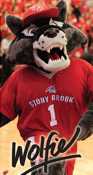 Suny Mascot Madness Round 4 Game 27 Stony Brook Vs Binghamton