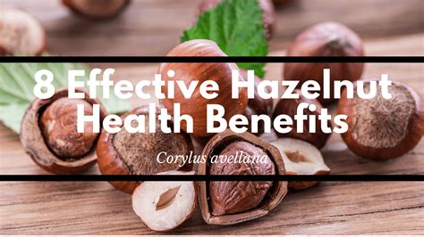 8 Effective Hazelnut Health Benefits Healthy Lifestyle