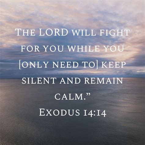 Exodus 1414 The Lord Will Fight For You While You Only Need To Keep