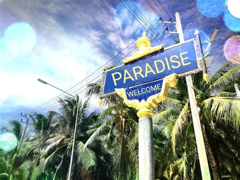 Welcome To Paradise Sign Stock Photo Image Of Palm Paradise 19318410