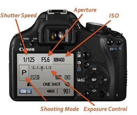 Learn How To Use Your Dslr Camera With This Easy Photography Tutorial