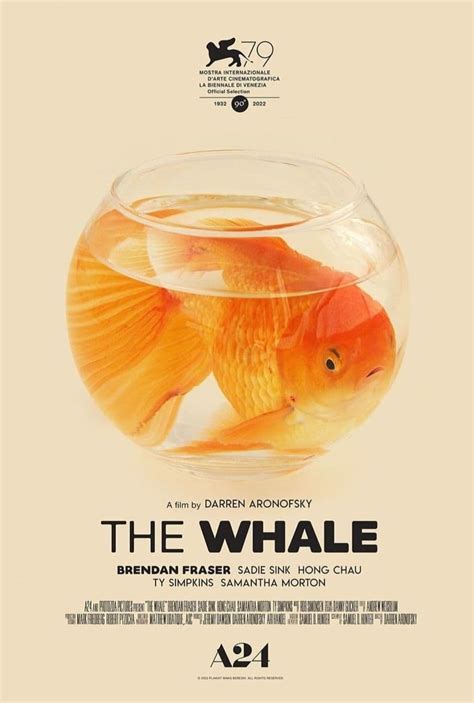 The Whale 2022 Streaming Trailer Trama Cast Citazioni