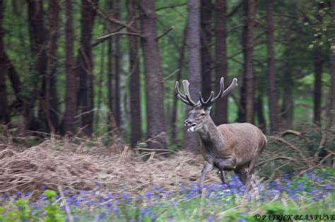 AU RYTHME DES SAISONS mai 2012