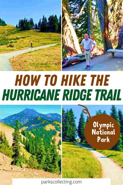 High Ridge Trail To Sunrise Point Hurricane Ridge Complete Guide