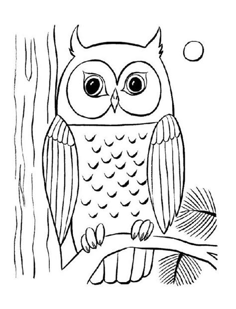 Buhos owl applique sketsa burung hantu mudah. 680+ Gambar Sketsa Kolase Burung Hantu Gratis Terbaik ...