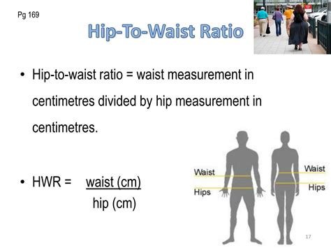 Ppt Body Mass Index Hip To Waist Ratio Powerpoint Presentation Free