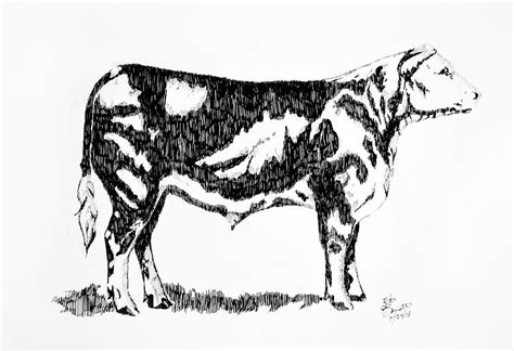Top How To Draw A Steer Of All Time Check It Out Now Howtodrawplanet4
