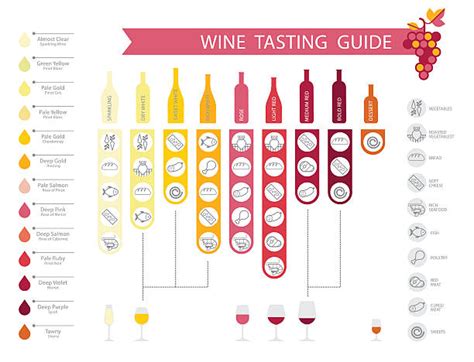 Wine Pairing Chart Print Set Of 11x14 Inches Glossy Food Flavor Guide