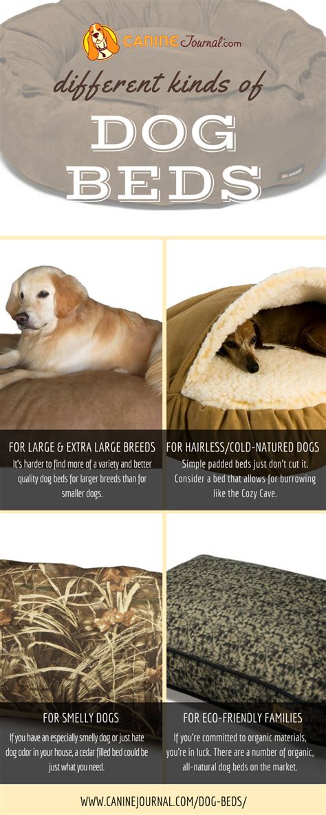 Dont Let Sleeping Dogs Lie Choosing The Best Dog Bed Cool Dog Beds