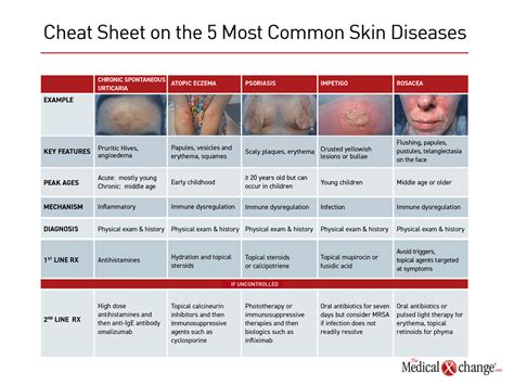 Understanding Common Skin Conditions Doctor Io Digital Images And Photos Finder