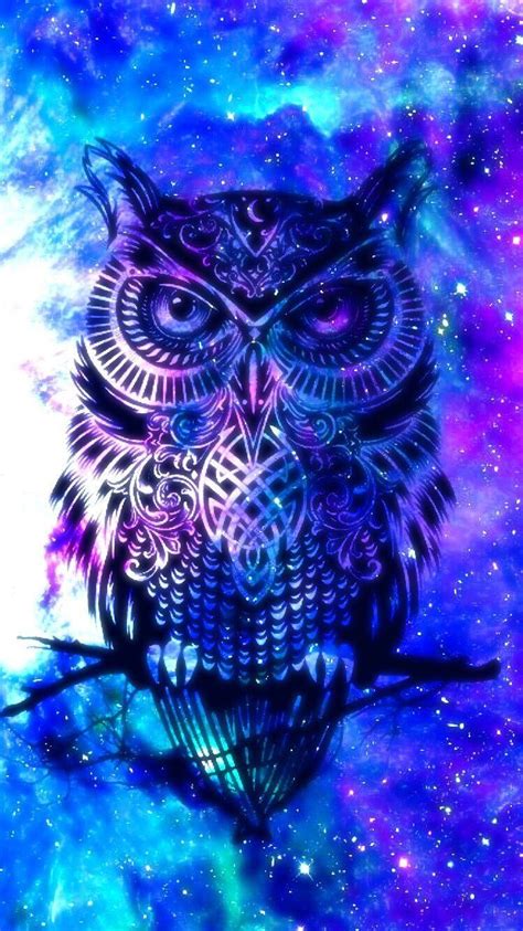 Cool Owl Wallpapers Tattoo Ideas For Women