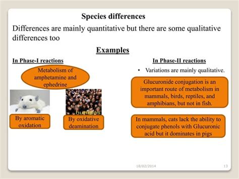 Biopharmaceutical Factors Affecting Metabolism Ppt