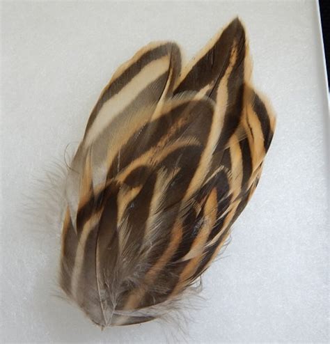 Layered Mallard Duck Feather Hair Clip Brown Feather Etsy