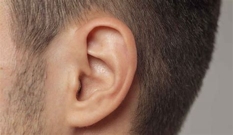 Ear Eczema Causes Symptoms Diagnosis And Treatment