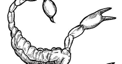 Free scorpions coloring pages download free clip art free. Scorpion Animals Coloring Pages For Kids | Cartoon ...