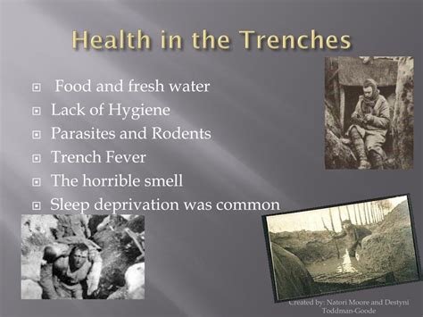 Ppt Daily ‘life In The Trenches Of Wwi Powerpoint Presentation Free