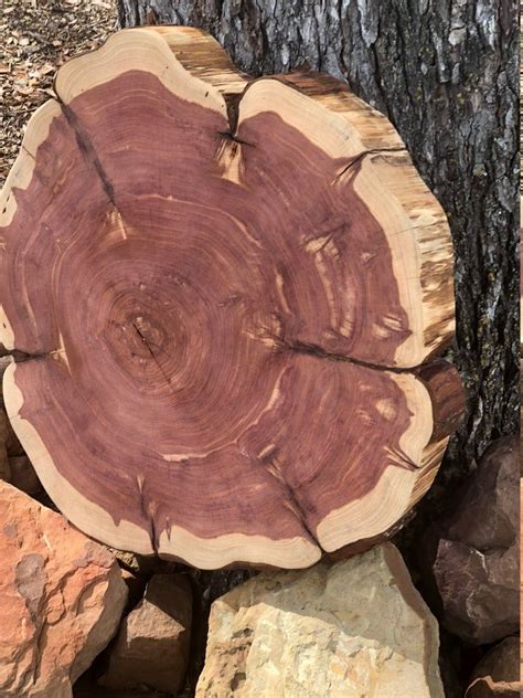 This type of lumber is often used for. LARGE Tree Slice, Cedar Slab, 20" x 3" thick, DIY table ...