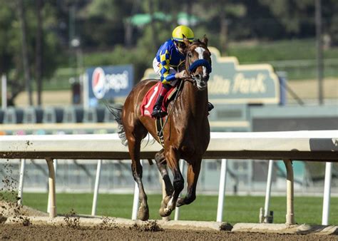 Kentucky Derby Contender Authentic Favored To Win Saturdays Haskell