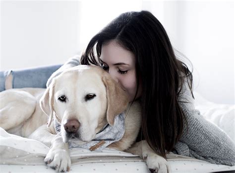Man bekommt nie den hund den man will. 5 Tipps für eine harmonische Hund-Mensch-Bindung ...
