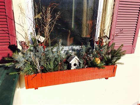 Holiday Winter Flower Boxes Winter Flowers Flower Boxes Holidaze