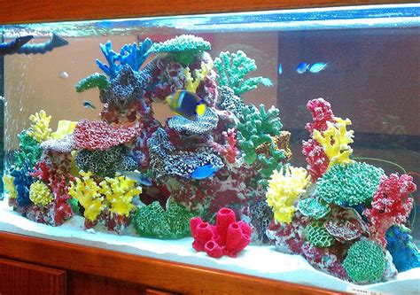 Maybe you would like to learn more about one of these? Amazon.com : Instant Reef DM012 Artificial Coral Reef ...