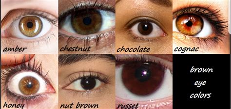Hi There I Was Kinda Searching About Brown Shades Of Eye Colors There Is A Chart With Amber