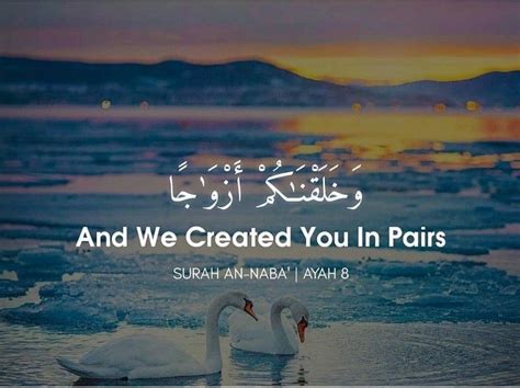 And we created you in pairs. And We Created You in Pairs. Love This Quote. | Create ...