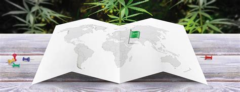All the news about the legality of bitcoin and other different offers and advanced facilities are daily published on our platform and the customers in many peoples want to know is bitcoin legal in saudi arabia? Legal status of cannabis in Saudi Arabia - Cannaconnection.com