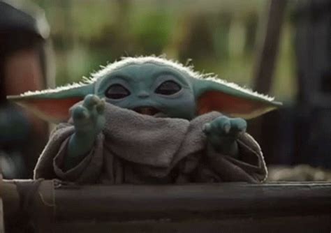 With tenor, maker of gif keyboard, add popular baby yoda animated gifs to your conversations. 12 Reasons Why San Diego Zoo is the Best Zoo in the World