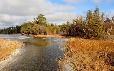 Michigan state park gear and merchandise: Ludington State Park Cedars Campground Map - Michigan ...