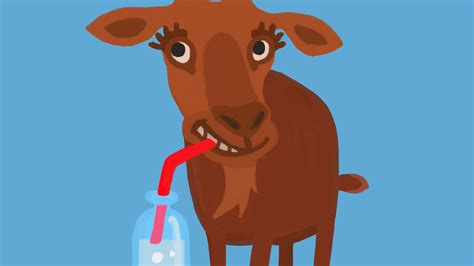 Survey For Goats And Soda Readers Goats And Soda Npr