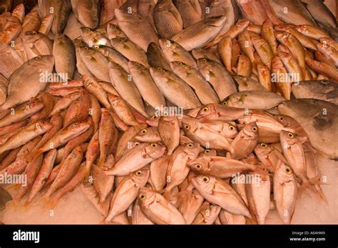 Fish Market In Tripoli Stock Photo Alamy