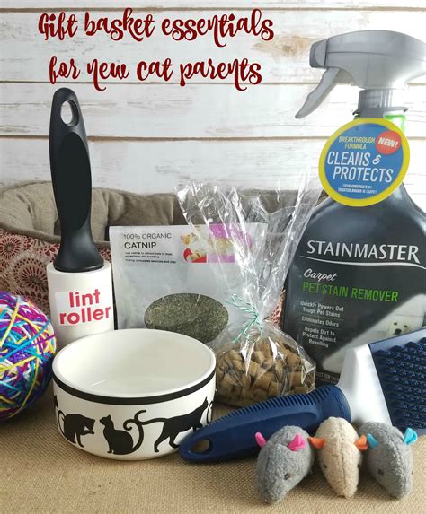 Check spelling or type a new query. Gift Basket For New Cat Parents - Making Time for Mommy