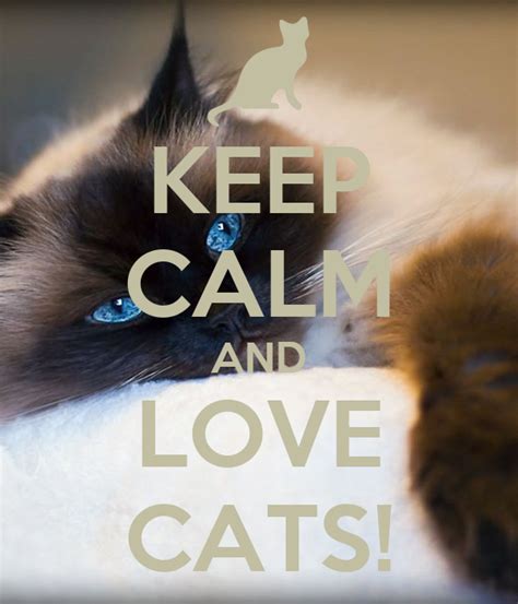 Keep Calm And Love Cats Keep Calm And Carry On Image Generator