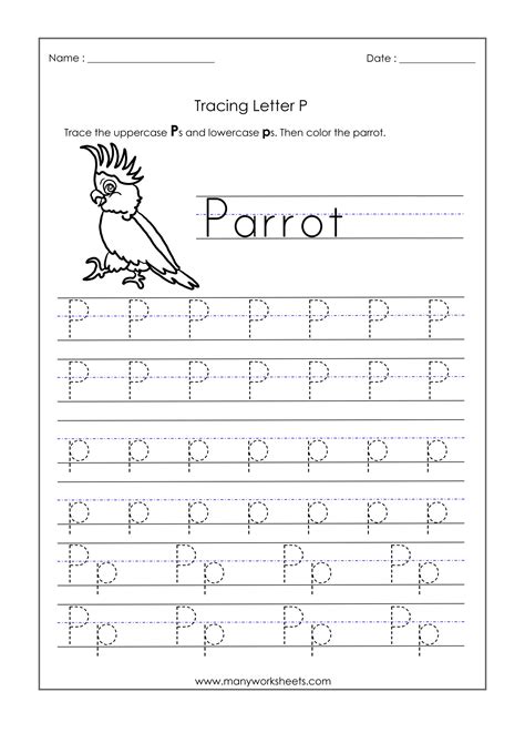 Tracing letter p worksheets