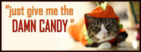 Halloween Pumpkin Cat Facebook Cover Funny Cover Photos Facebook