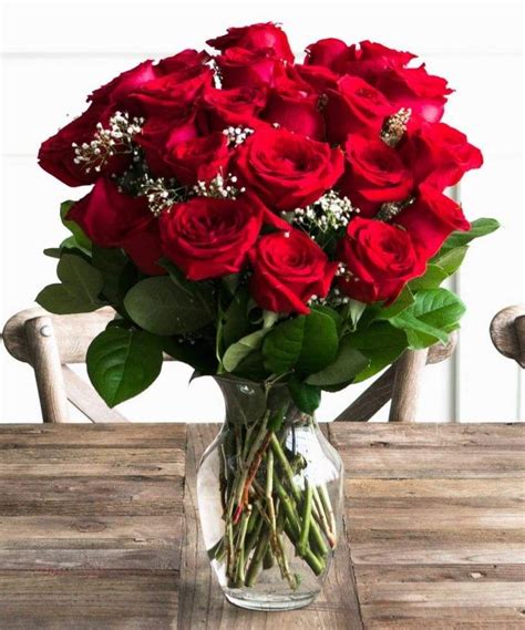 Two Dozen Red Roses Dozen Red Roses Red Roses Beautiful Red Roses