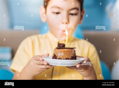 Pleasant Boy Blowing Out Candle On His Cake Stock Photo Alamy