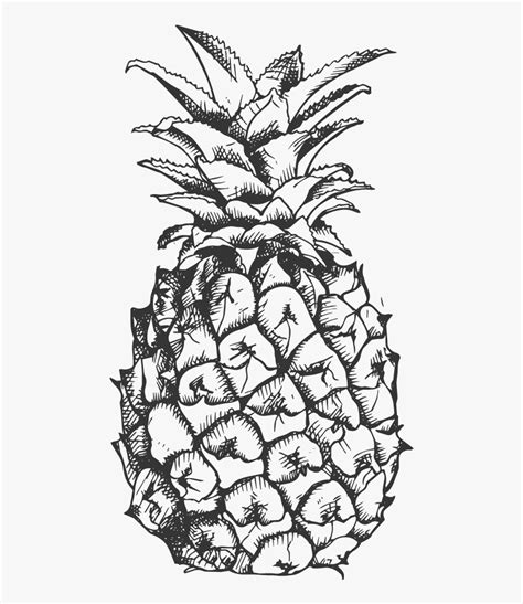 Pineapple Clipart Fancy Pineapple Vector Black And White Hd Png