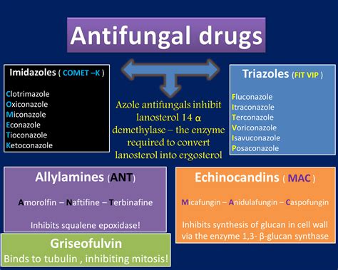 All Antifungal Agents In One Paper And How To Remember Their Names