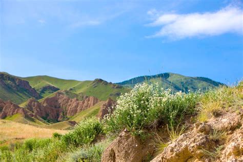 Kazakhstan is about four times the. Kazakhstan Nature. National parks and reserves