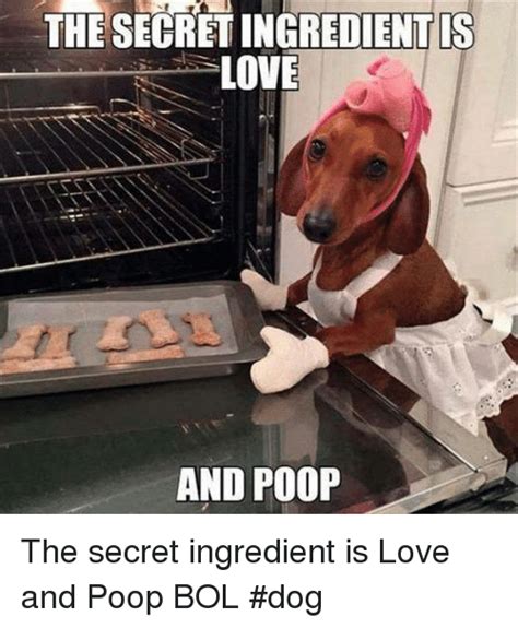 Meme generator the fastest meme generator on the planet. The SECRET INGREDIENT IS LOVE AND POOP the Secret ...