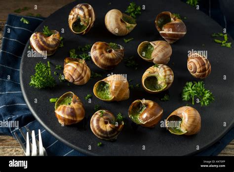 Fancy French Hot Escargot Appetizer With Butter And Garlic Stock Photo
