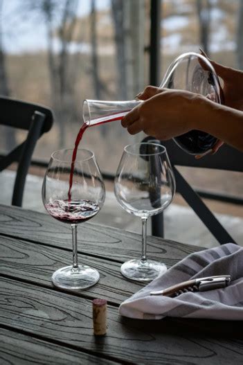 Cómo servir vino guía para hacerlo correctamente