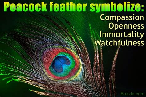 In this way a feather tattoo that holds the wind and air meaning can represent something new to the owner every day that they have it on their skin. Peacock is a splendiferous bird. Its feather is a ...