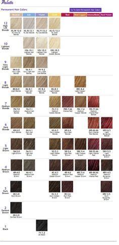 L'oreal preference® / excellence crème®. Ion Color Brilliance on Pinterest | Ion Hair Colors, Manic ...
