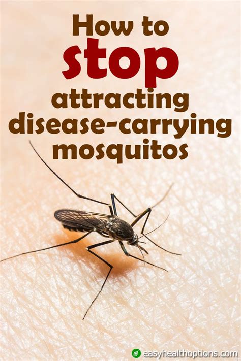 easy health options® how to stop attracting disease carrying mosquitos bug bites remedies