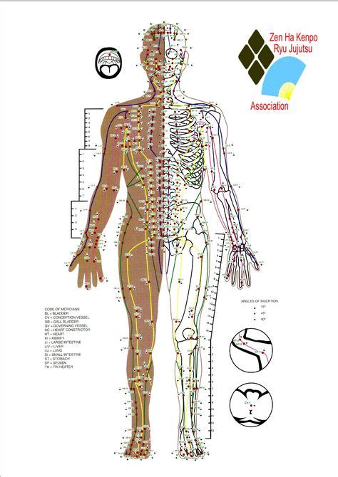 12 Accupressure Ideas Acupressure Acupressure Points Acupuncture Points