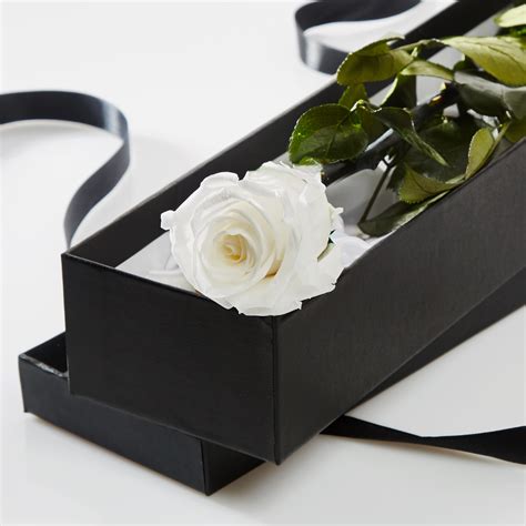 White Timeless Rose Stem In T Box Petals And Roses
